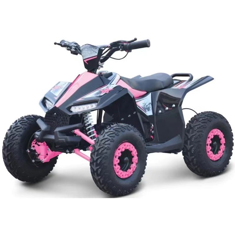 Torque máximo de 40-60Nm 1000W ATV elétrico lado a lado para desempenho imbatível