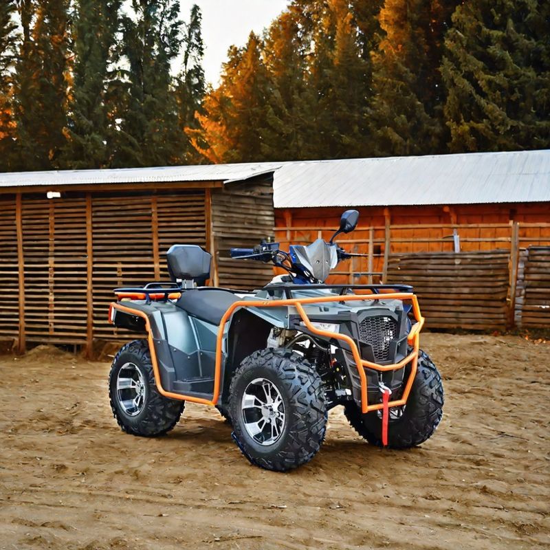Cores personalizadas 2024 Farm Quads 300cc 4x4 Big Power Utility ATV com capacidade de grau