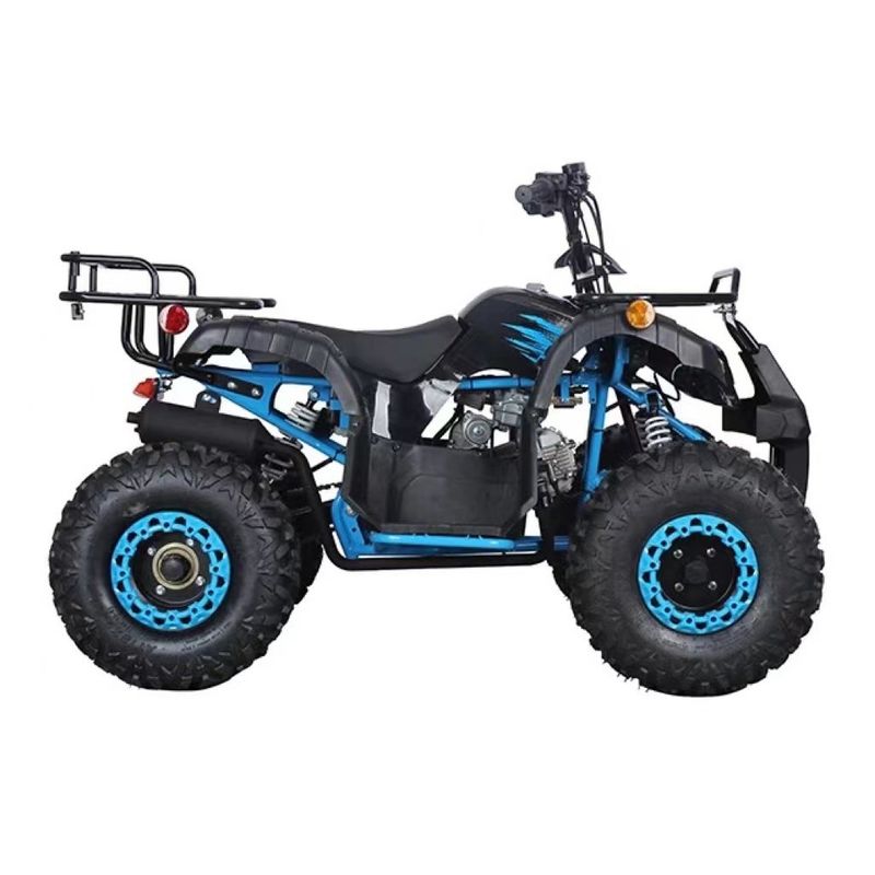 Certificado CE 110cc 125cc Big Power Farm Quad Bike para a aventura ao ar livre das crianças