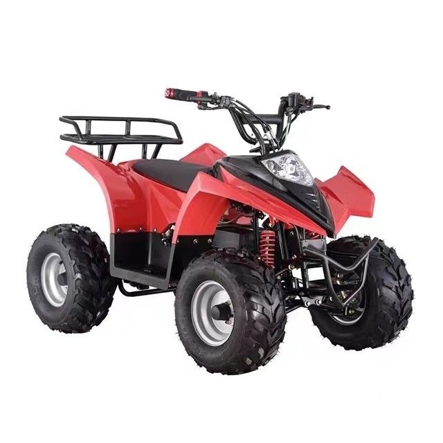 Quad ATV elétrico para crianças 750W 800W 1000W 48V Pneus 16x8-7 Kilometragem ≤ 30km