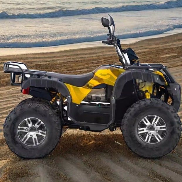 Velocidade máxima 50-75Km/h 3000W ATV elétrico com 4WD e 60v de transmissão automática
