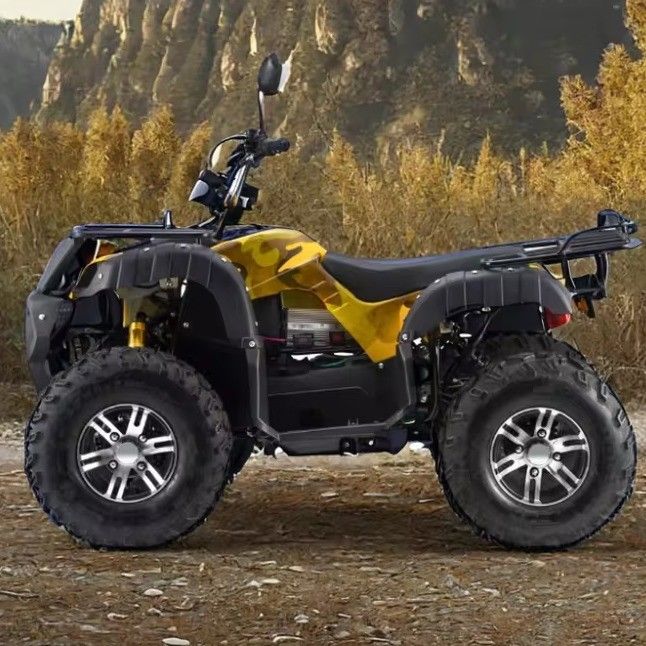 Adultos 3000W Elétrico ATV Quad Gás Alimentado 2WD 4WD com velocidade máxima de 50-75Km/h