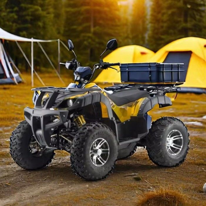 3000W 2wd/4wd ATV UTV Road Four-Wheel Off-Road Motorcycle com tipo de direção comutável