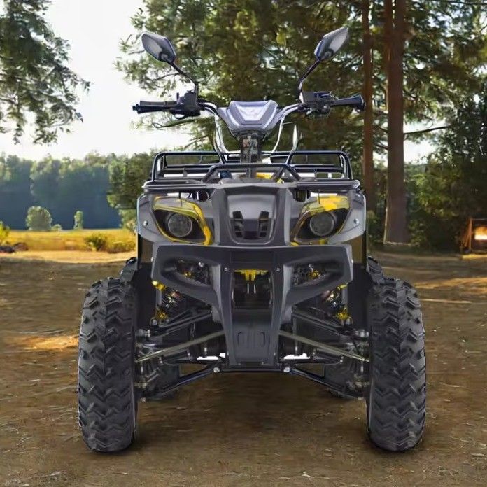 Potente 3000W 1500W 4WD 4x4 Moto ATV UTV 1000cc Quad ATV com distância entre rodas 1800-2200mm
