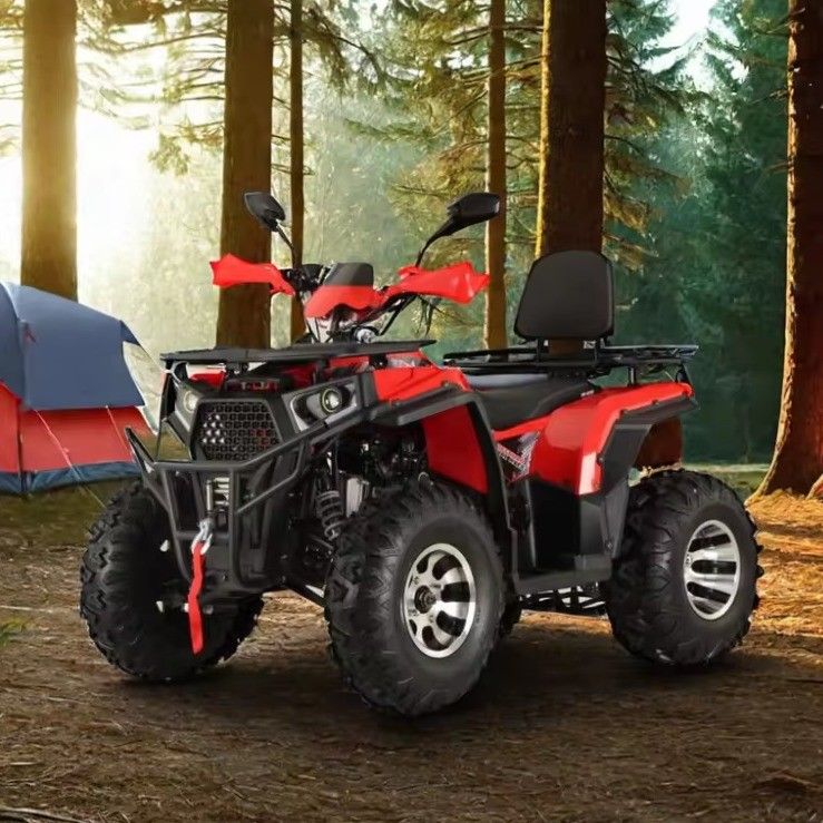 200cc 2X4 4X4 Road Legal ATV Quad Bike para Adultos Disposição 200cc cilindro número 1