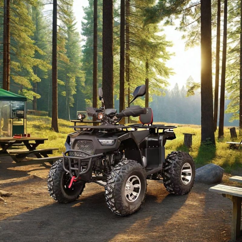 2WD Velocidade máxima 50-75Km/h 125cc 150cc 200cc ATVs UTVs Off Road Cuatrimoto