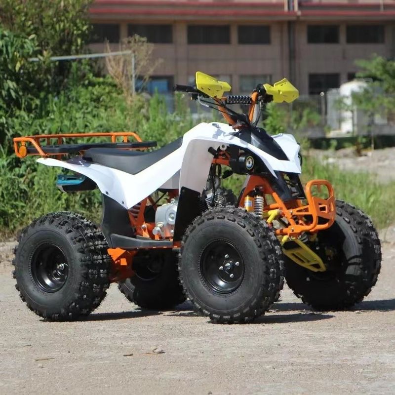 150cc 200CC 250CC Transmissão automática Quatro rodas Off-Road Quad Bike ATV para montanha