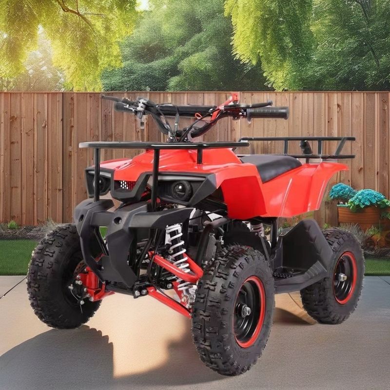 Mini Quad de 49 CC com baixo consumo de combustível Torque máximo Nm ≤ 20Nm Gás combustível / diesel